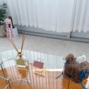 단대로5번길 이미지