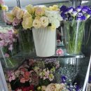 홍성화원 이미지