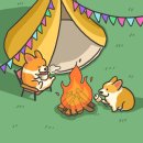 베스트캠핑장 | 🏕️ 가평 독채 커플 캠핑장 BEST 4 : 프라이빗한 감성 힐링 여행🌲