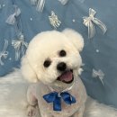 코트니룸 이미지