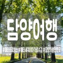 담양프로방스펜션H | [담양] 메타프로방스 후기와 메타세쿼이아 가로수길 드라이브 코스 추천!