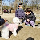 선우공원 생태연못 화장실 | [서울 도봉 아기랑] 계절마다 좋은 생태공원 서울창포원(feat. 아기들 뛰놀기 좋은 잔디광장)