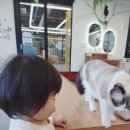 (주)수달앤쥬 이미지