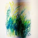 앨리스핫도그 | [경기/양평]주말 양평 북한강 나들이 코스 대형카페 리버뷰 카페대너리스 > 두물머리 연잎핫도그