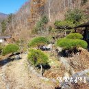 자작농장 이미지