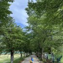 청평면 뚝방 자전거길 | 🚲 가평 아이랑 가볼만한곳 추천｜청평생태공원 자전거 타기 좋은 한적한 공원