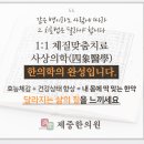 이도라돈 이미지