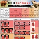 🔥 🔥 🔥 소고기는 프리미엄 투/원 플러스(1++, 1+) 보다 1(A, Choice) 등급 이하가 건강에는 더 좋아 이미지