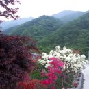 쉴휴하우스 이미지