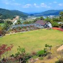 신천체육공원 농구장 이미지