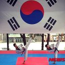 태백강원태권도체육관 이미지