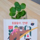 아람비디오 이미지