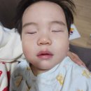 맵시방 | 동탄 센트럴아동병원 17개월아기 고열 급성인두염 신년맞이 2박3일 입원후기 1인실 2인실 소아식 굿닥어플