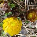 전정금농장 이미지