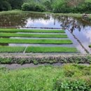 느티나무2농장 이미지