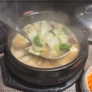 육화백