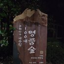 국립희리산해송자연휴양림 | 서천 희리산 자연휴양림 진달래 객실 후기｜초1과 야간 생물탐사까지
