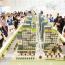 분당-264 이미지