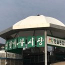 서부농협 건너편 이미지