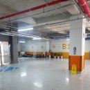 영월 더 블리스 워케이션 센터 | [더블리스 워케이션 센터 몰아보기] 가성비 영월 명소 호텔 숙소 숙박