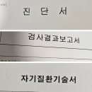 도로교통공단 춘천운전면허시험장 | 2024년 뇌전증 환자의 운전면허 적성검사 판정 합격 후기 (제출서류)