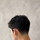 신정수석 이미지
