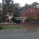 현미공인중개사사무소 이미지