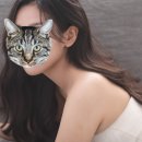 유미헤어디자인 이미지