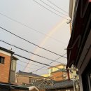 북촌로 | 서울 가성비 한복 스냅 웨딩 스냅 '봄유 스냅', 한복대여 '봄은한복' 내돈내산 솔직후기