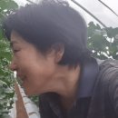 김태희의팜스쿠키 이미지