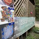 충북 제천 글램핑, 청풍월드니스 글램핑장 후기
