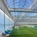 월드농장 이미지