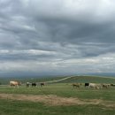 거북면세점 이미지