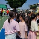 이화초교 이미지