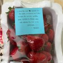 들말농장 이미지