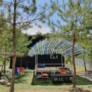 솔소리농장 이미지