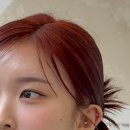 성은뷰티 이미지