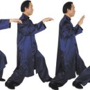 이찬태극권도관 동아일보