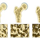 Best 휘트니스 센타 이미지