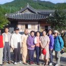 청학동 Daum카페