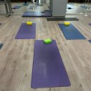 힐링요가(야간) 이미지