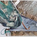 삼인낚시터 이미지