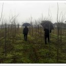 창신농장 이미지