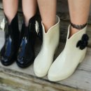 까멜리아 플라워 이미지