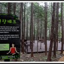 팔영산치유