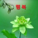 100세의료기