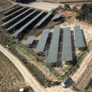 부흥 태양광발전소 이미지