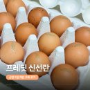 hy 프레딧 계란 추천 산란 2일 잇츠온 무항생제 신선란 후기