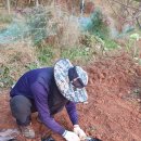 금량농장 이미지