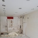 털보벽지 이미지